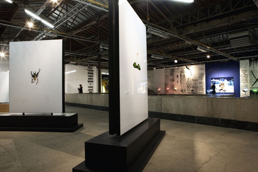 PALAIS de TOKYO - PARIS, FRANCE — RANCINAN