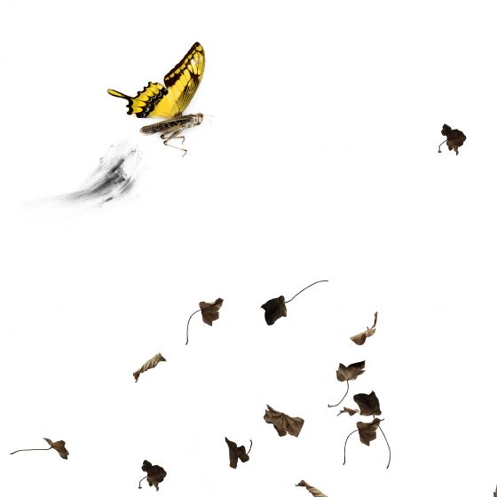 And everything will begin again — RANCINAN